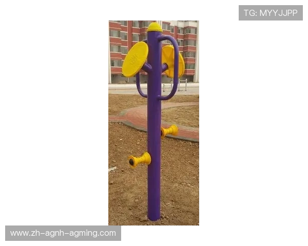 户外常见健身器材功能全解：公园锻炼更科学